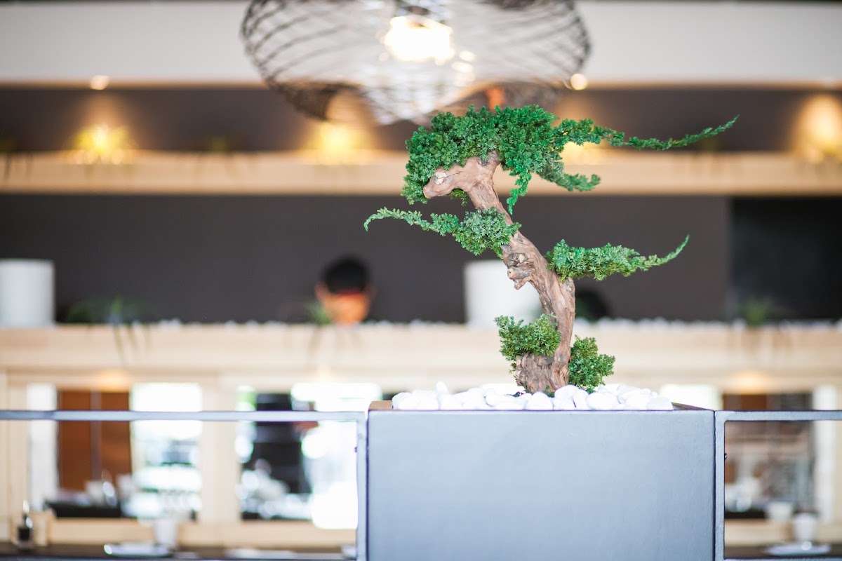 Japanese Restaurant Cru•do